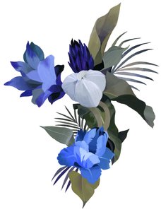 Image inconnue - Unbekannt Unbekannt